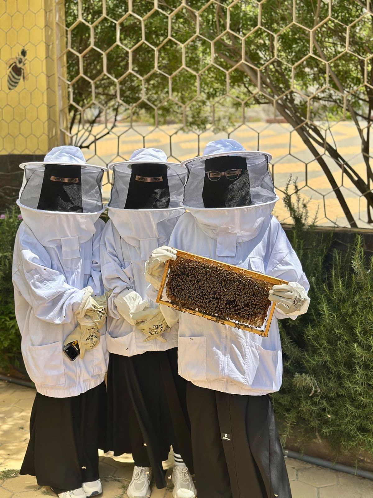 اكتشفوا أسرار النحل والعسل في السياحة النحلية 